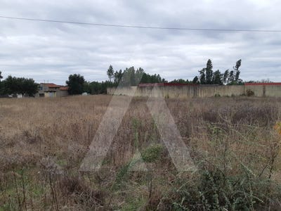 /international/pt/avelas-de-cima-aveiro-310100275443/