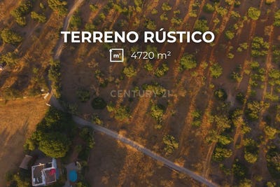 /international/pt/36v4-fx-moncarapacho-portugal-moncarapacho-faro-310104040736/