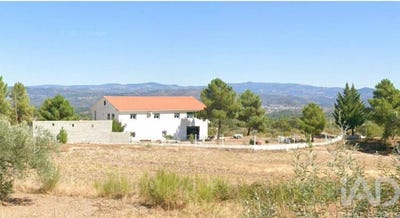 /international/pt/fradizela-braganca-310108838728/?lang=es