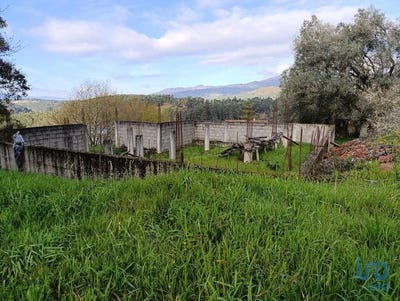 /international/pt/viana-do-castelo-viana-do-castelo-310098119257/