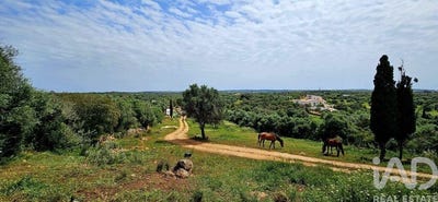 /international/pt/barao-de-sao-miguel-faro-310107368683/