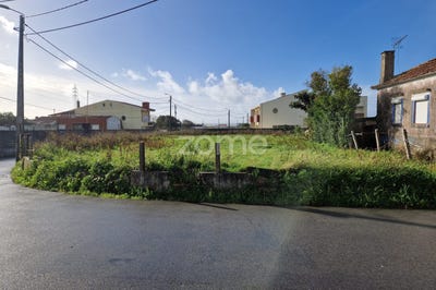 /international/pt/espinho-castelo-branco-120081084308/