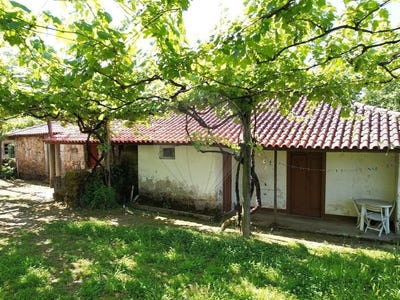 /international/pt/basto-braga-310108056796/