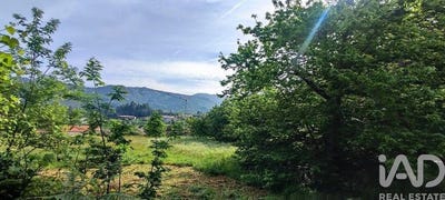 /international/pt/loivo-viana-do-castelo-310108292834/