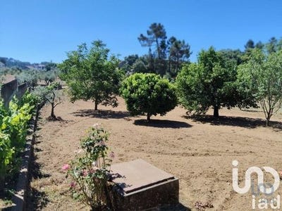 /international/pt/serta-castelo-branco-310100796330/