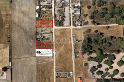 /international/pt/palmela-setubal-municipality-310095192828/