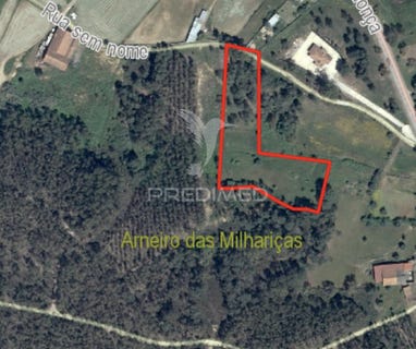 /international/pt/arneiro-das-milharicas-santarem-santarem-310102958009/