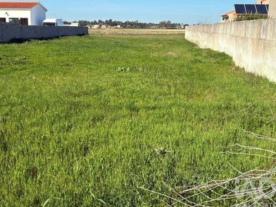 /international/pt/foros-de-salvaterra-santarem-310106158239/