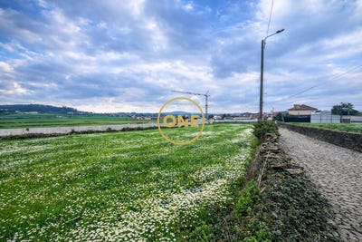 /international/pt/povoa-de-varzim-porto-310108210629/