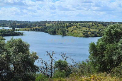 /international/pt/quinta-de-mira-pedrogao-santarem-120091018789/