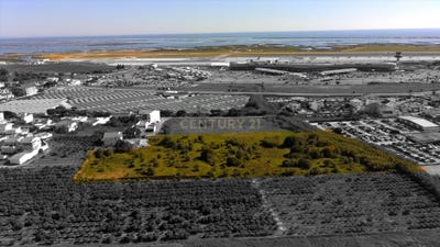 /international/pt/vale-das-almas-montenegro-faro-310105187736/