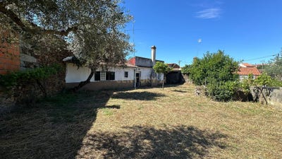 /international/pt/zebreira-e-segura-castelo-branco-district-310094785367/