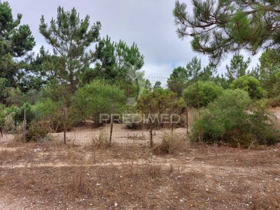 /international/pt/azeitao-sao-lourenco-e-sao-simao-setubal-setubal-municipality-310100853830/