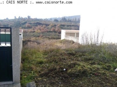 /international/pt/valongo-braganca-310103537595/