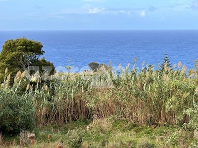 /international/pt/candelaria-azores-310107913666/