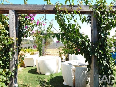 /international/pt/santarem-santarem-310101901176/