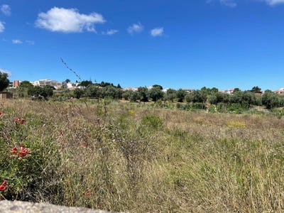 /international/pt/sesimbra-castelo-setubal-municipality-310101034668/?lang=zh-cn
