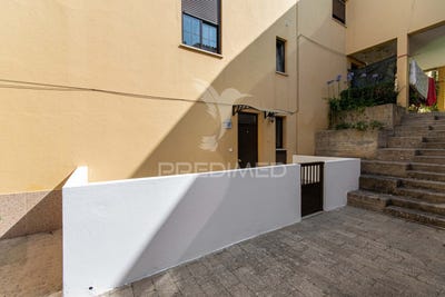 /international/pt/azambuja-azambuja-lisbon-310100955736/