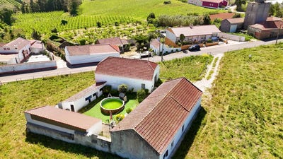 /international/pt/carvalhal-leiria-310106189064/