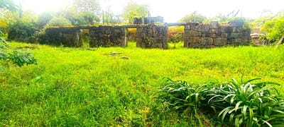 /international/pt/santa-marinha-do-zezere-porto-310097007002/