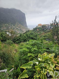/international/pt/ilha-da-madeira-madeira-310102110503/