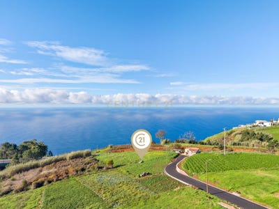 /international/pt/rua-da-carreira-serrado-do-alferes-ilha-da-madeira-madeira-120093304652/