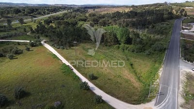 /international/pt/arrouquelas-rio-maior-aveiro-310099545142/