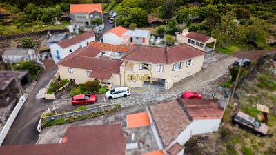 /international/pt/criao-velha-azores-310108211084/
