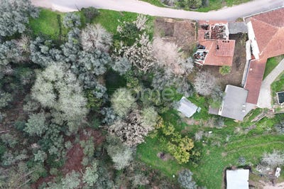 /international/pt/miranda-do-corvo-coimbra-310098116535/