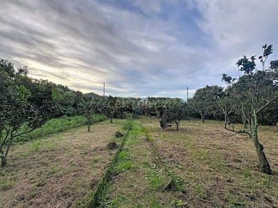 /international/pt/caminho-da-tronqueira-48-9600-175-pico-da-pedra-portugal-ilha-de-sao-miguel-azores-310107522546/
