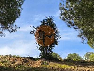 /international/pt/odeleite-faro-310106591763/
