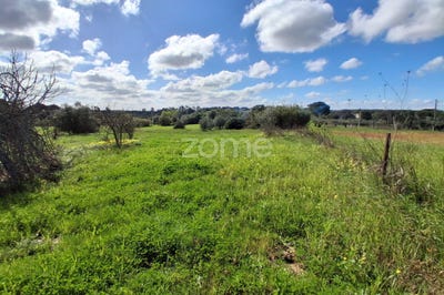 /international/pt/santarem-santarem-310107357556/