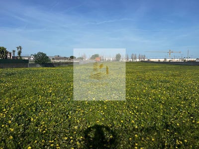/international/pt/benavente-santarem-310098639479/?lang=zh-tw