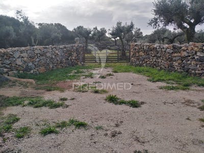 /international/pt/serra-de-santo-antonio-alcanena-santarem-310104400832/