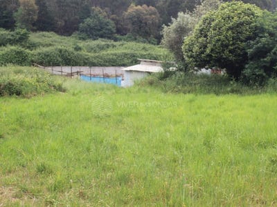 /international/pt/valongo-braganca-310108589522/