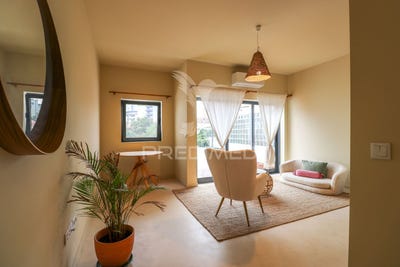 /international/pt/agueda-e-borralha-agueda-aveiro-310102954386/