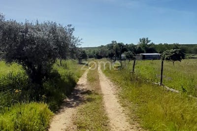 /international/pt/campo-maior-portalegre-120091307276/