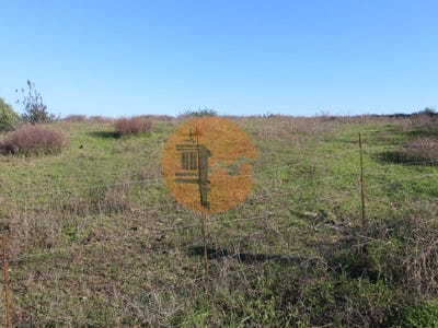 /international/pt/castro-marim-faro-310105014963/