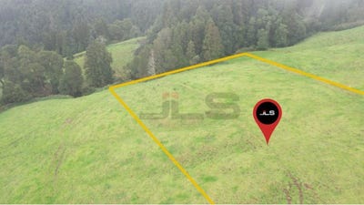 /international/pt/algarvia-azores-310106512768/