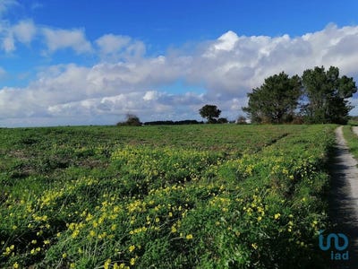 /international/pt/setubal-setubal-municipality-310094282291/