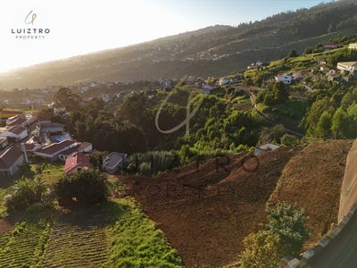 /international/pt/calheta-madeira-310107556745/