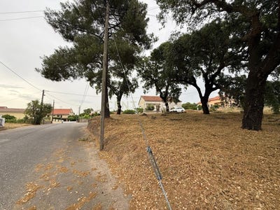 /international/pt/tinalhas-castelo-branco-310101083356/?lang=zh-tw