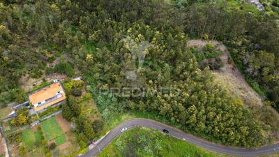 /international/pt/santo-antonio-da-serra-machico-madeira-310108041906/