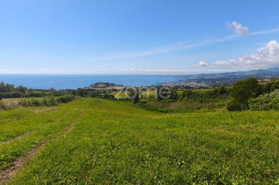 /international/pt/lagoa-sao-miguel-azores-310108894843/