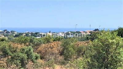 /international/pt/albufeira-faro-310107216771/