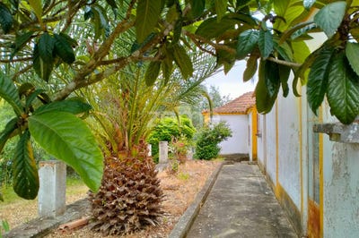 /international/pt/abrantes-santarem-310099708921/