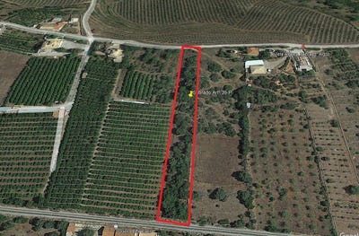 /international/pt/faro-faro-310094058021/