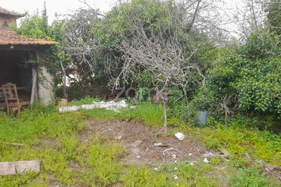 /international/pt/soure-coimbra-120083699043/?lang=en