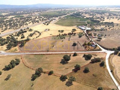 /international/pt/freixo-redondo-evora-310100861103/