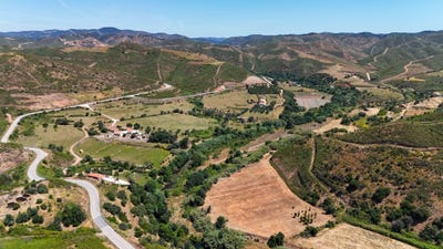 /international/pt/olival-alferce-faro-310097524588/
